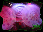 click to enlarge