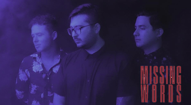 MISSINGWORDS-2025 (84K)
